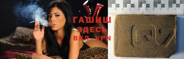 хмурый Аркадак