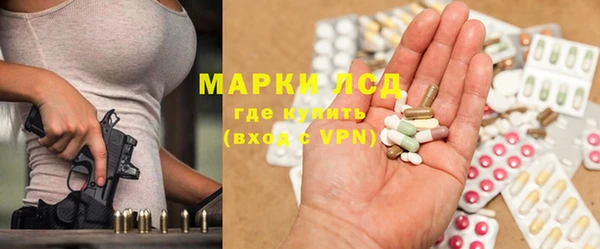 хмурый Аркадак