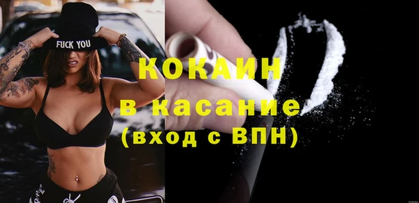 хмурый Аркадак