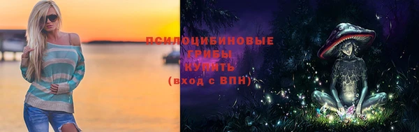 хмурый Аркадак