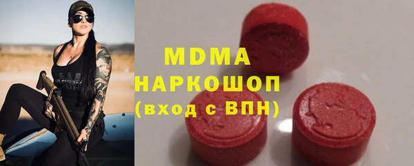 хмурый Аркадак