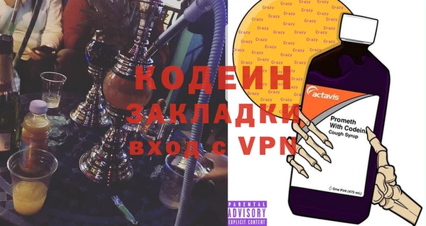 хмурый Аркадак
