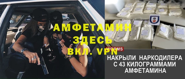хмурый Аркадак