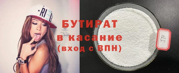 хмурый Аркадак