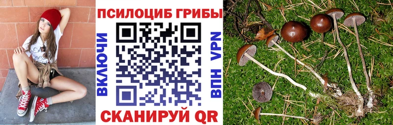 наркота  Усть-Илимск  OMG сайт  Псилоцибиновые грибы Magic Shrooms 